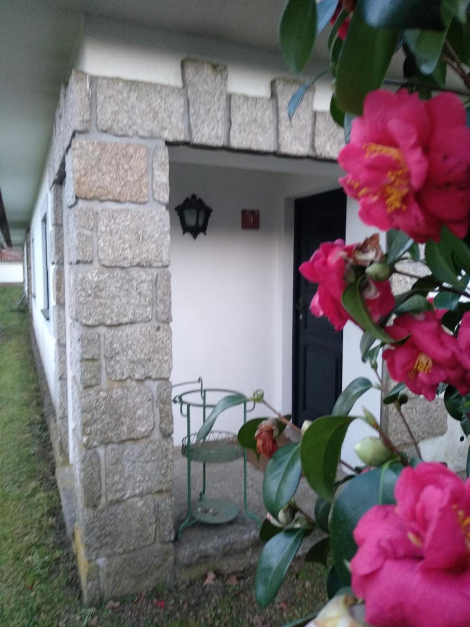 Casas Do Zagao - Turismo Rural Carregal do Sal Buitenkant foto