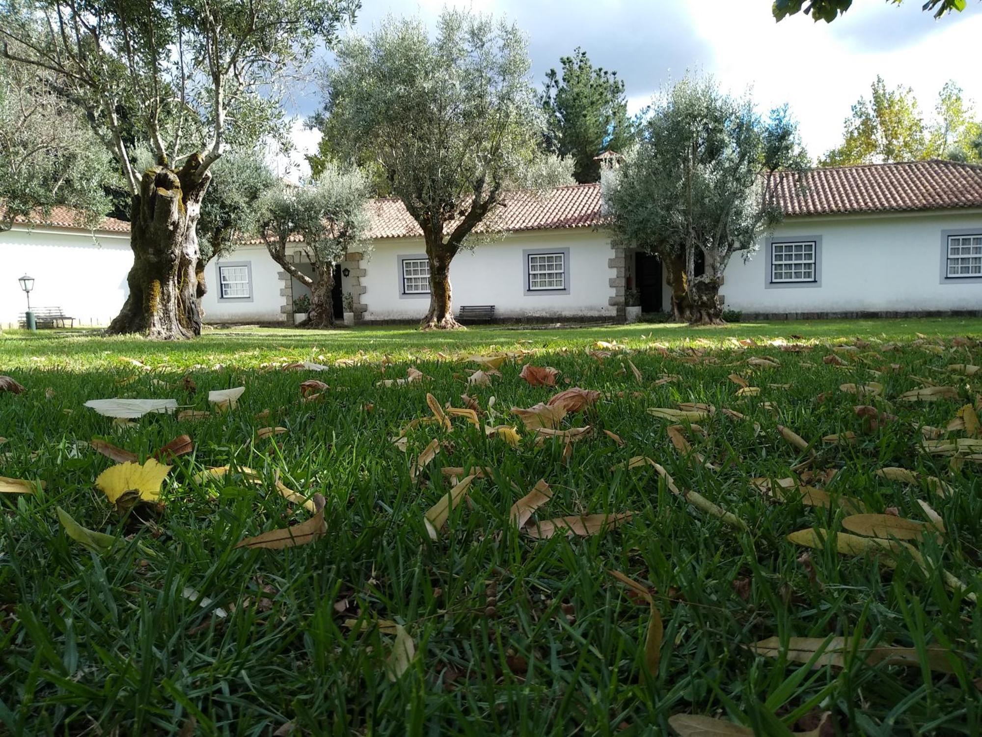 Casas Do Zagao - Turismo Rural Carregal do Sal Buitenkant foto